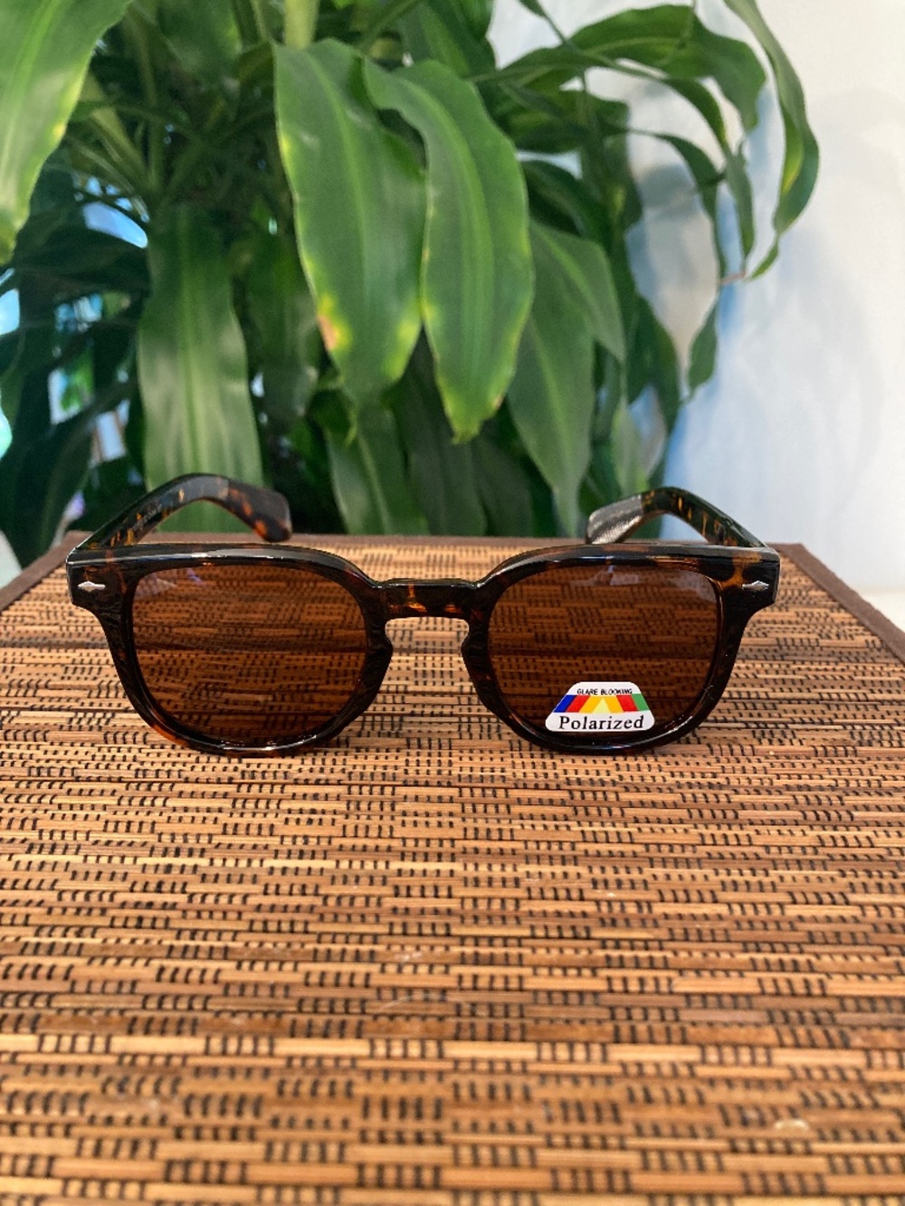 Acetate Frame Polarized Brown Sunglasses (P27476POL/SD) Brown